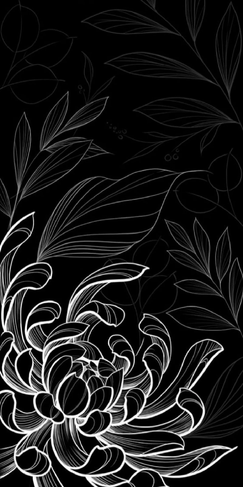 hình ảnh hoa sen đen 7