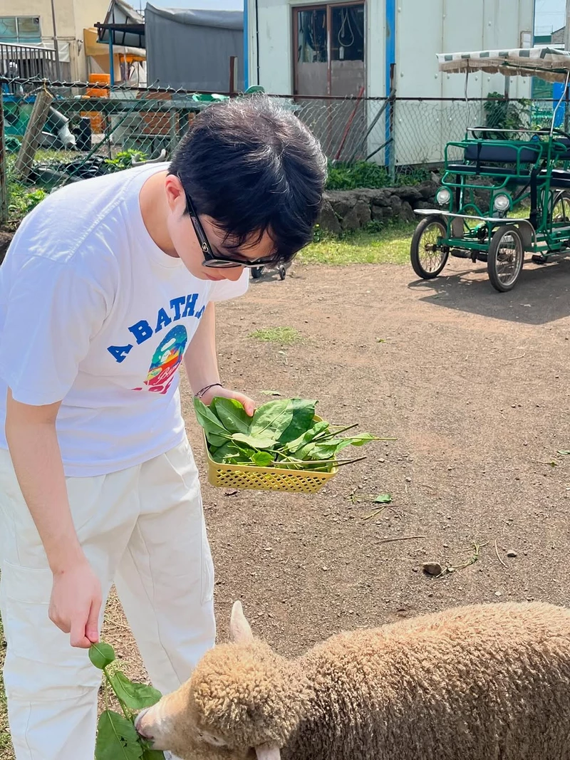 hình nền keria 37