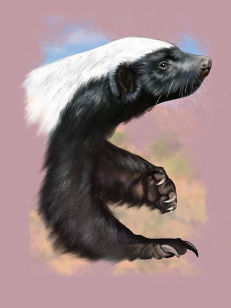 ảnh lửng mật 27