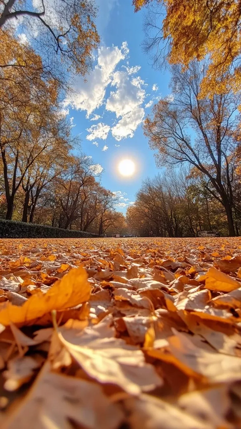 hình ảnh mùa thu 1