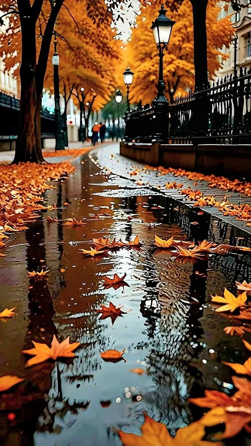 hình ảnh mùa thu 15