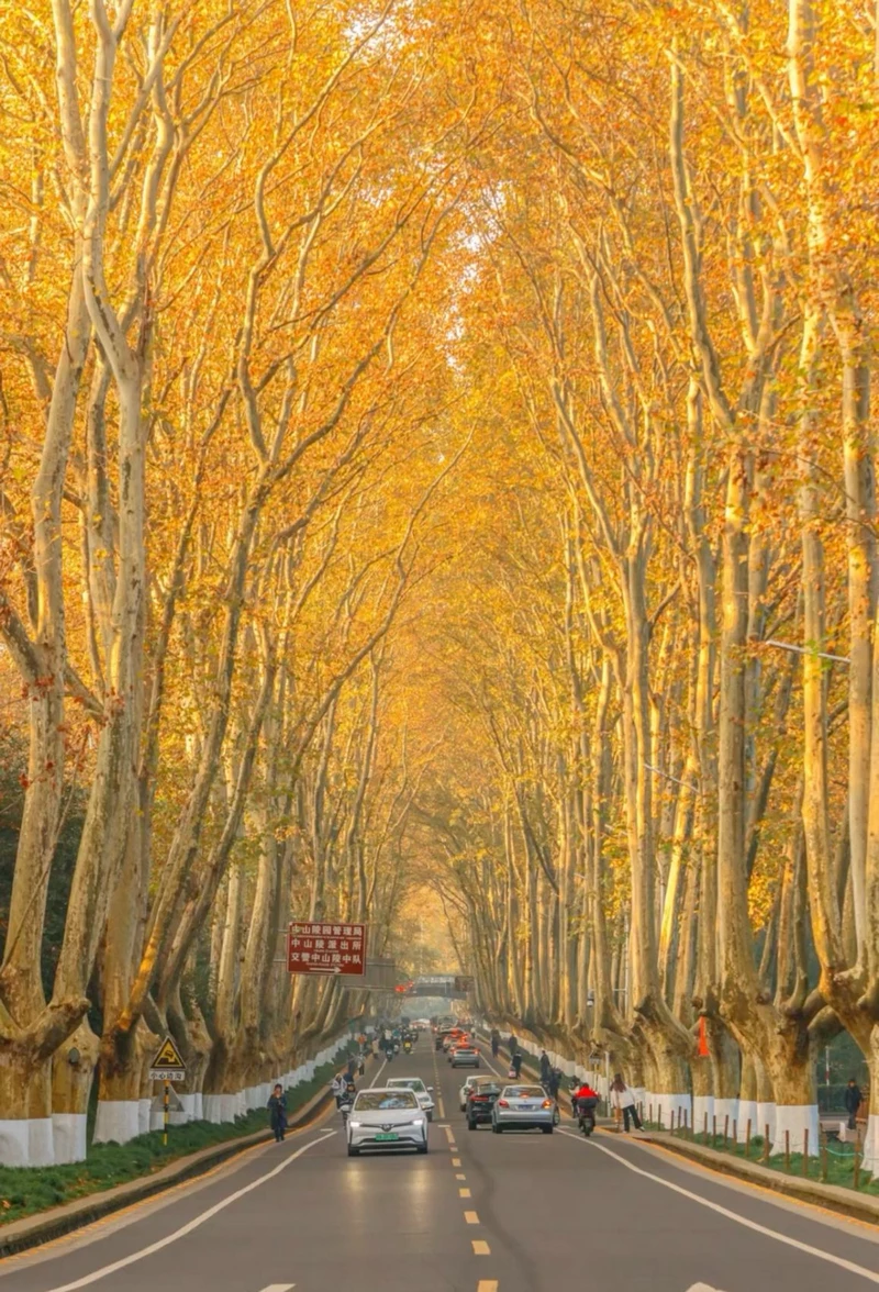 hình ảnh mùa thu 2