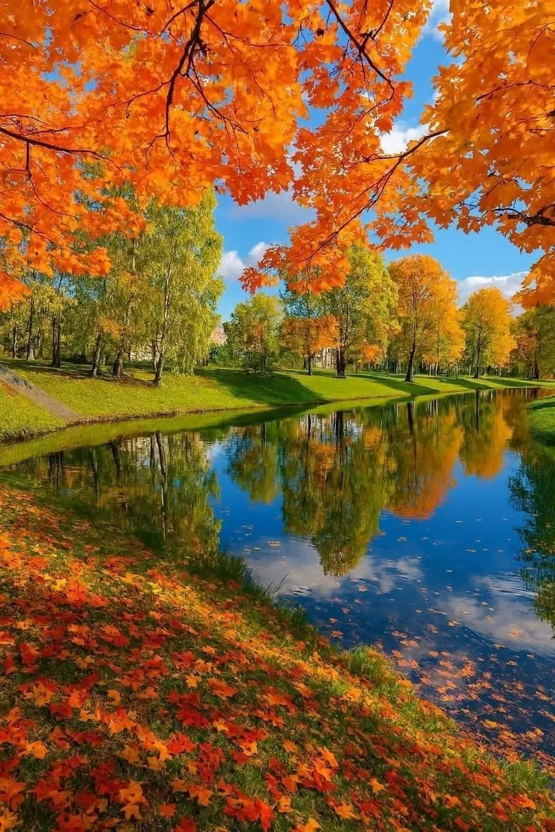 hình ảnh mùa thu 21