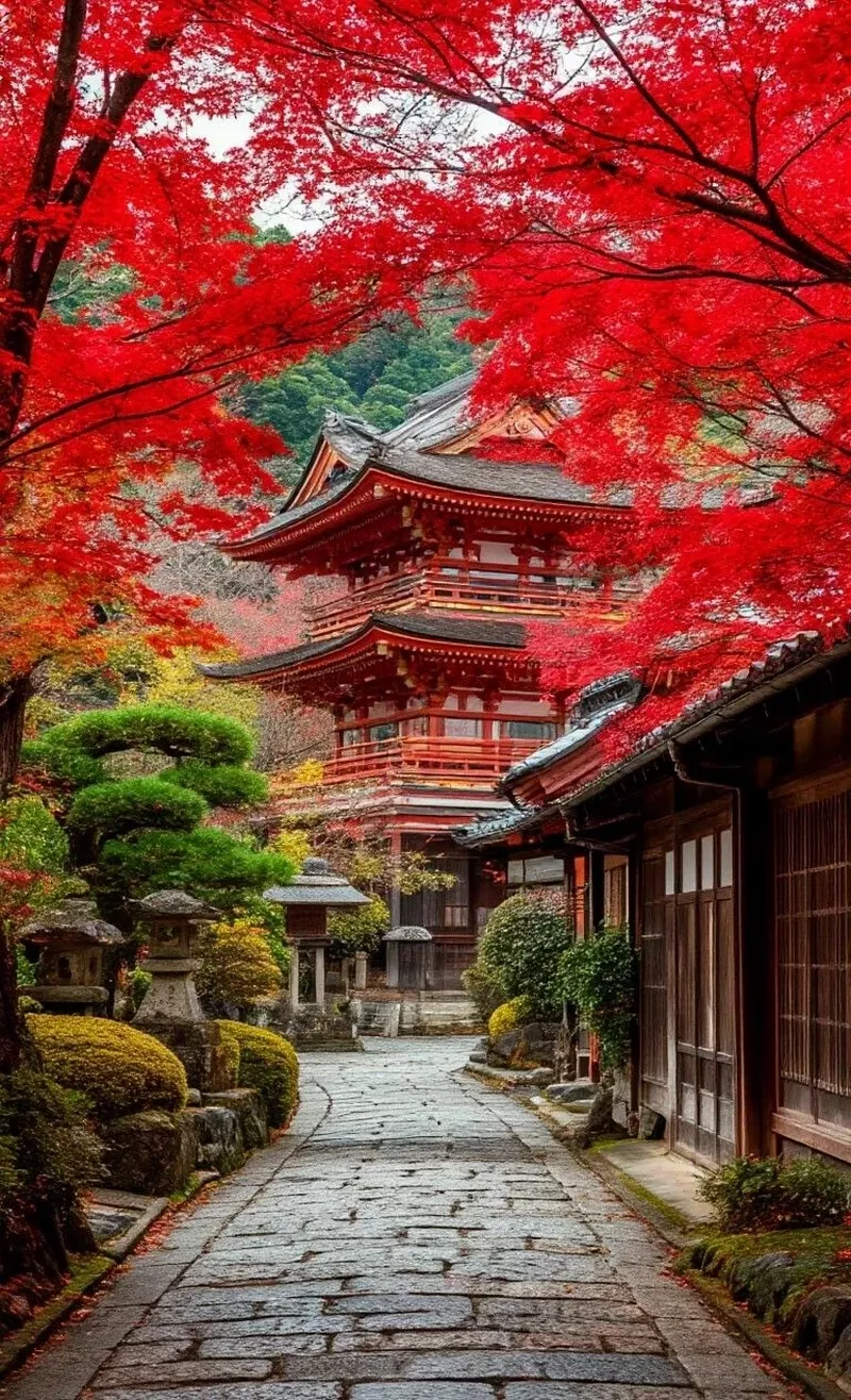 hình ảnh mùa thu 22