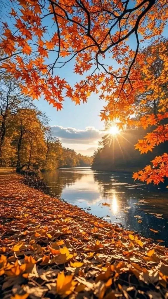 hình ảnh mùa thu 24