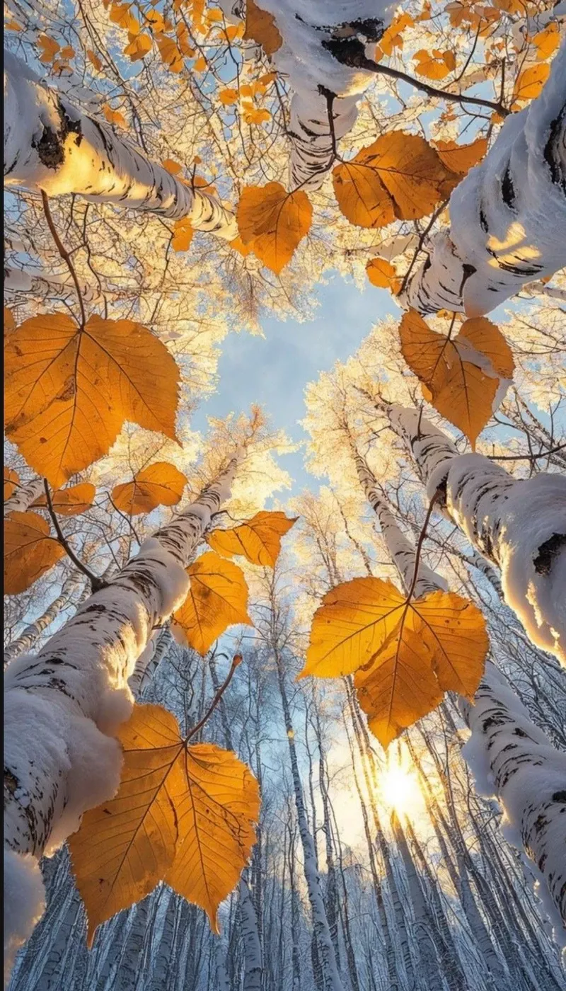 hình ảnh mùa thu 32