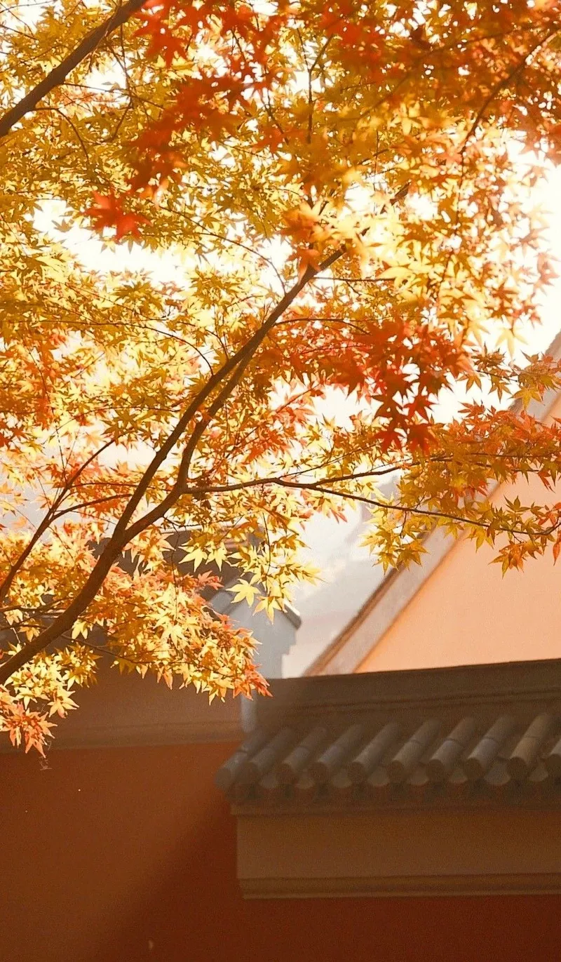 hình ảnh mùa thu 33