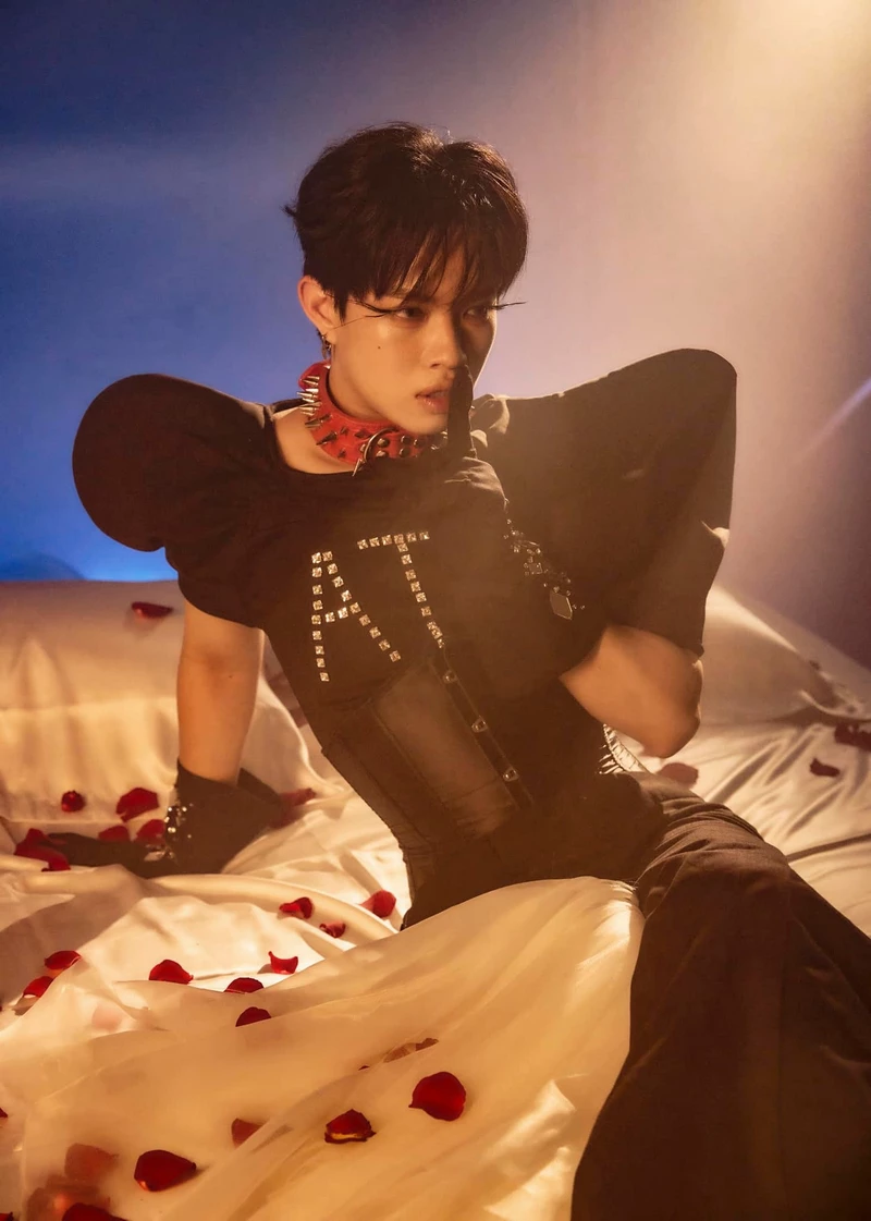 hình nền pháp kiều 14