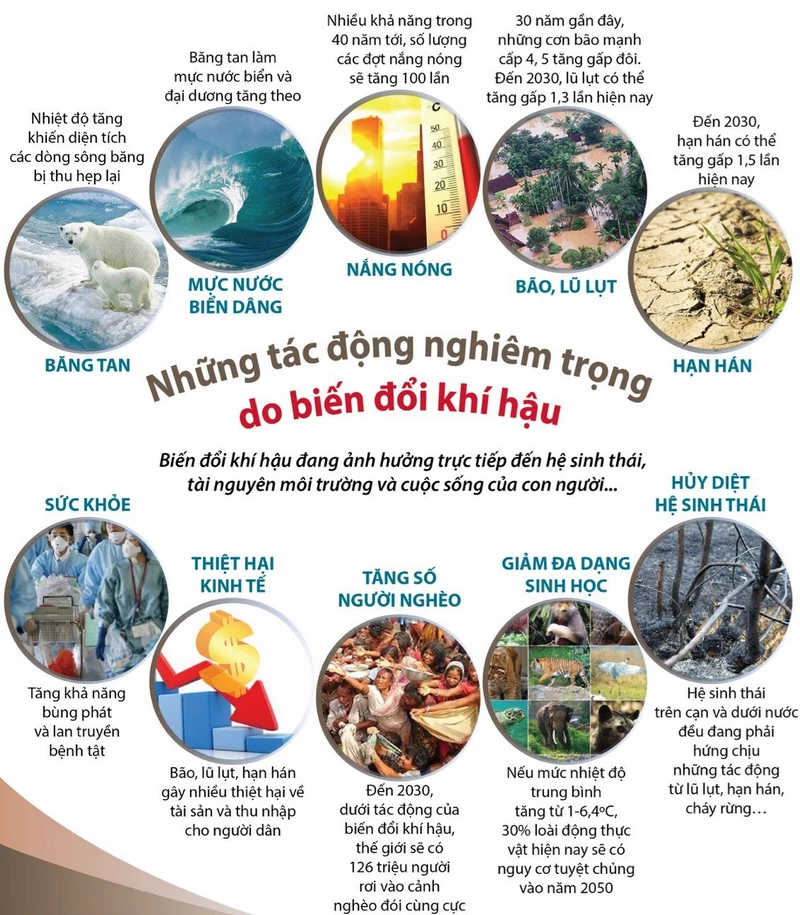 hình poster bảo vệ môi trường 20
