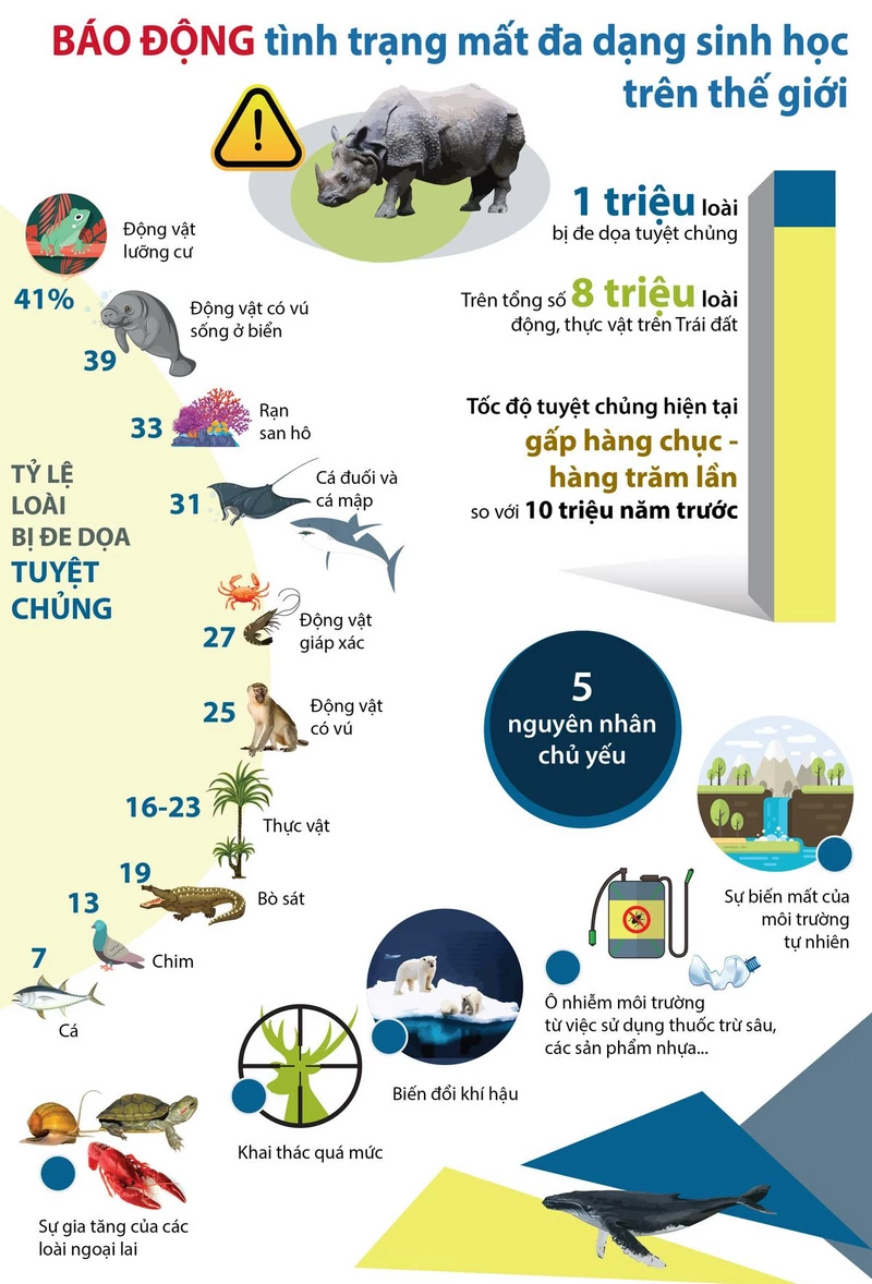 hình poster bảo vệ môi trường 27