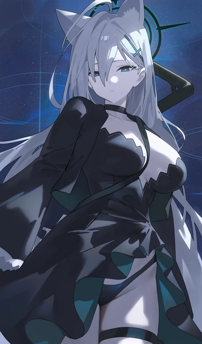 ảnh Sunaookami Shiroko 17