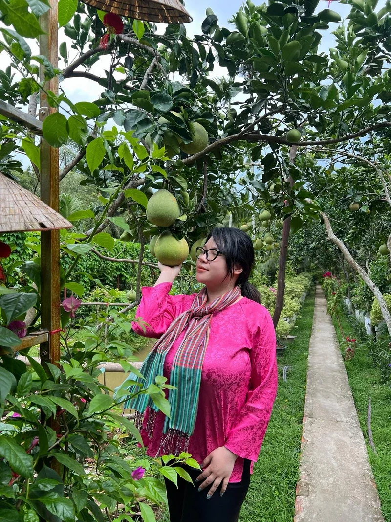 hình nền trang japan 29