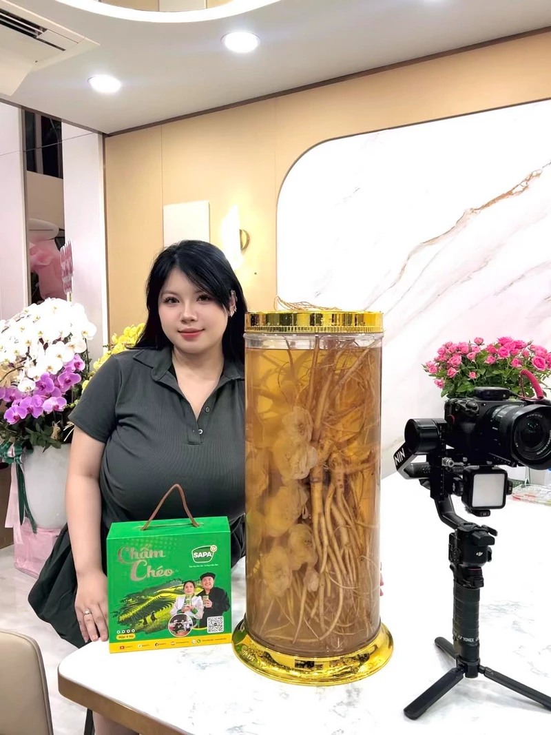 hình nền trang japan 47