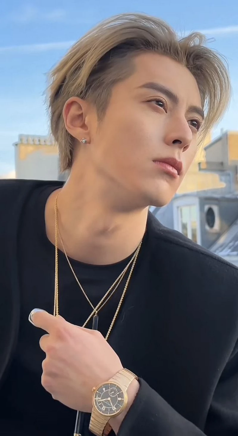 hình nền Vương Hạc Đệ 36