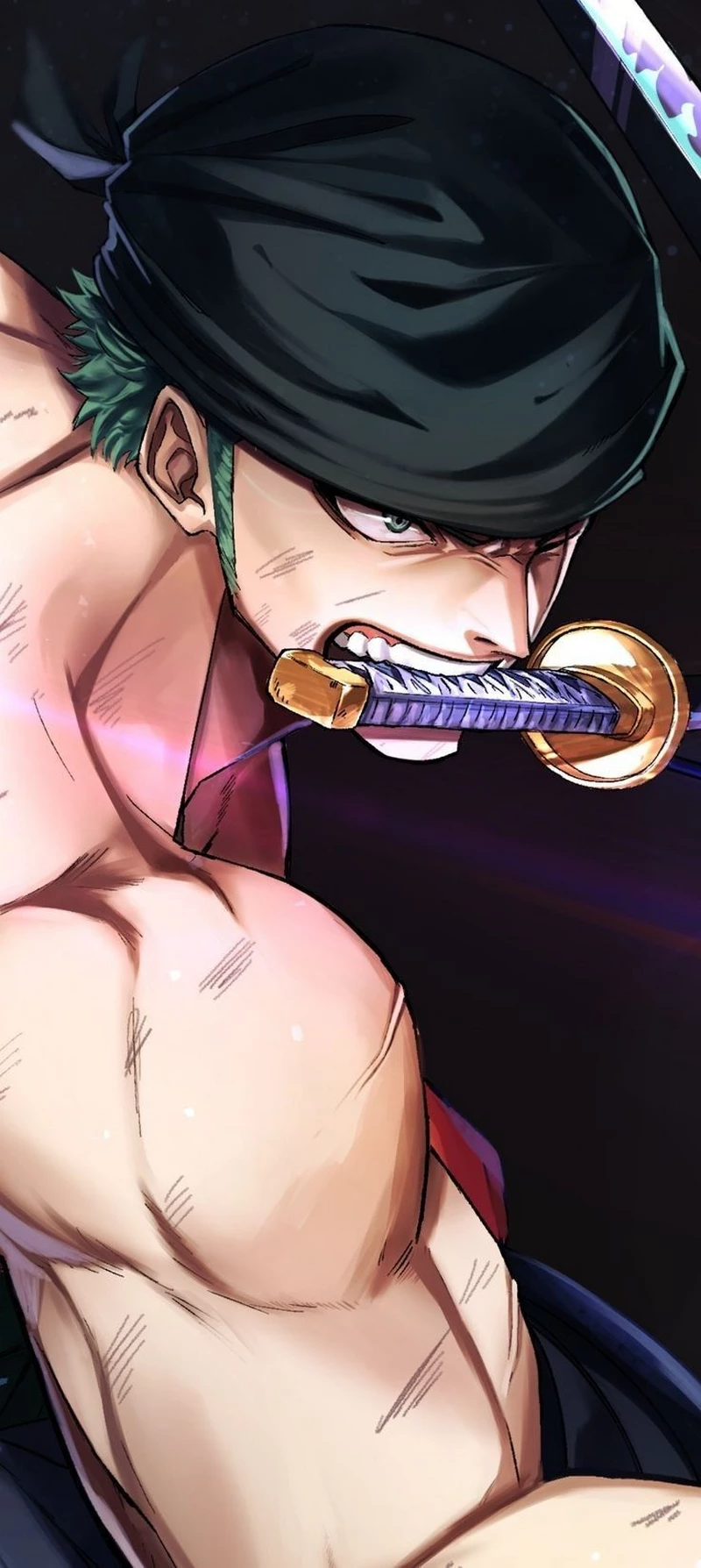 ảnh zoro 4