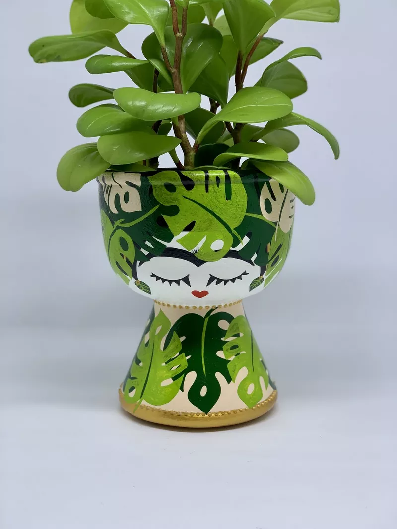 hình ảnh chậu cây tái chế 12