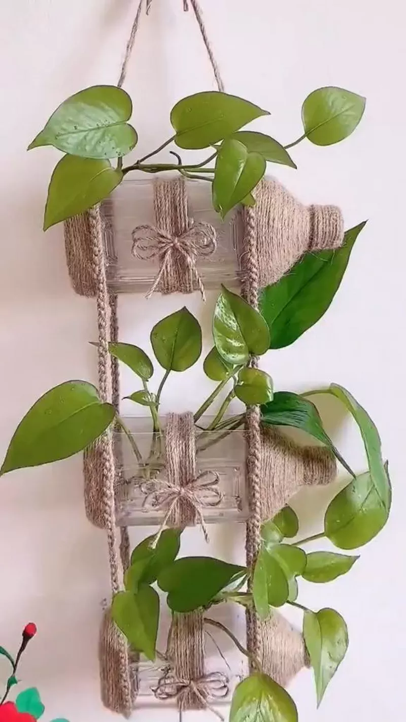 hình ảnh chậu cây tái chế 30