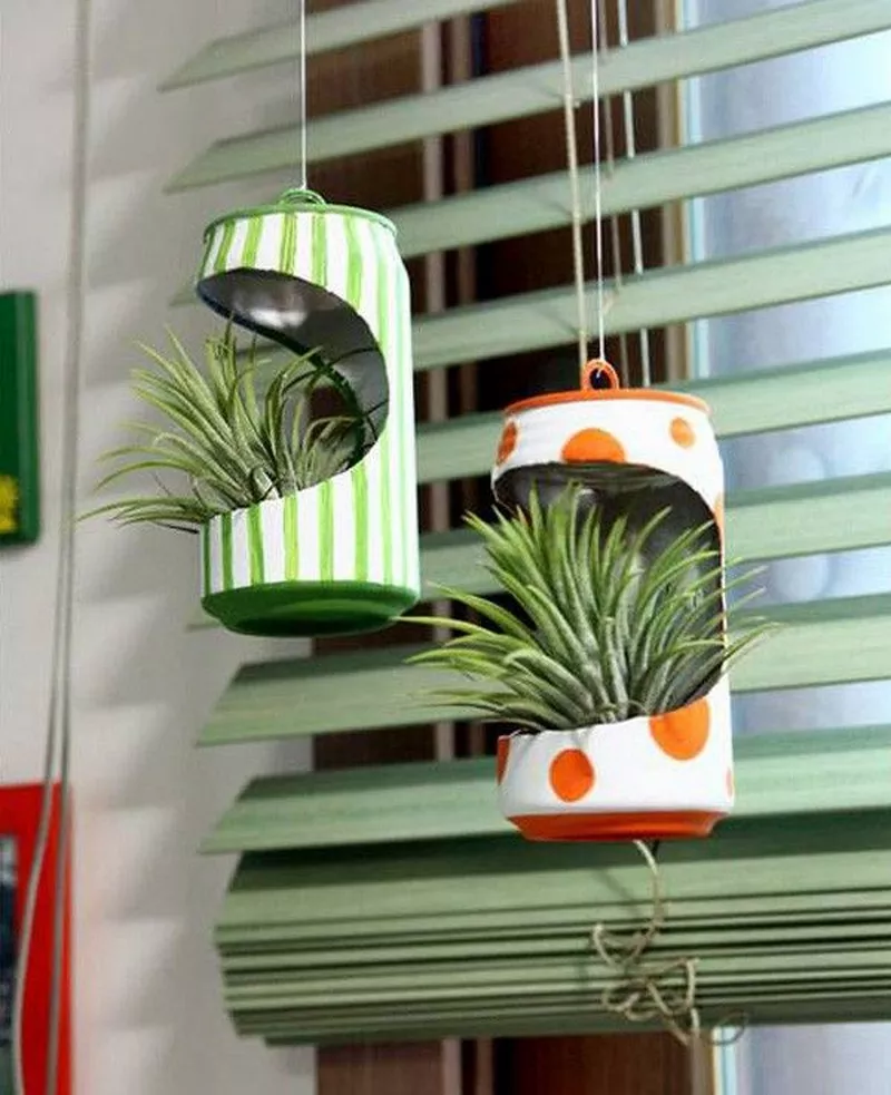 hình ảnh chậu cây tái chế 5