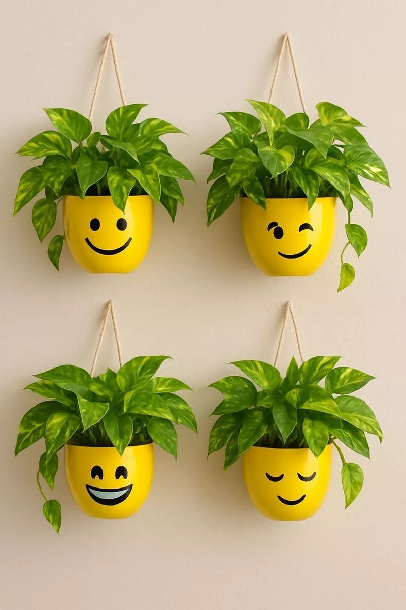 hình ảnh chậu cây tái chế 7