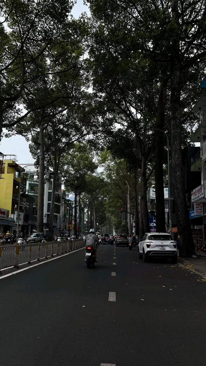 hình ảnh chill đường phố 20