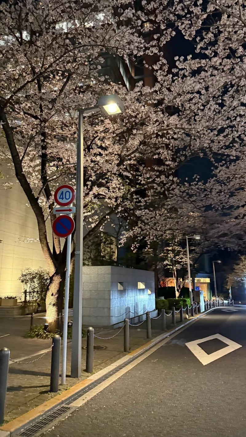 hình ảnh chill đường phố 21