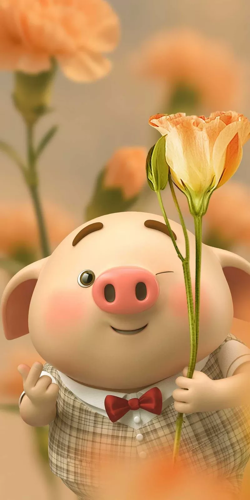 hình ảnh con heo cute 11