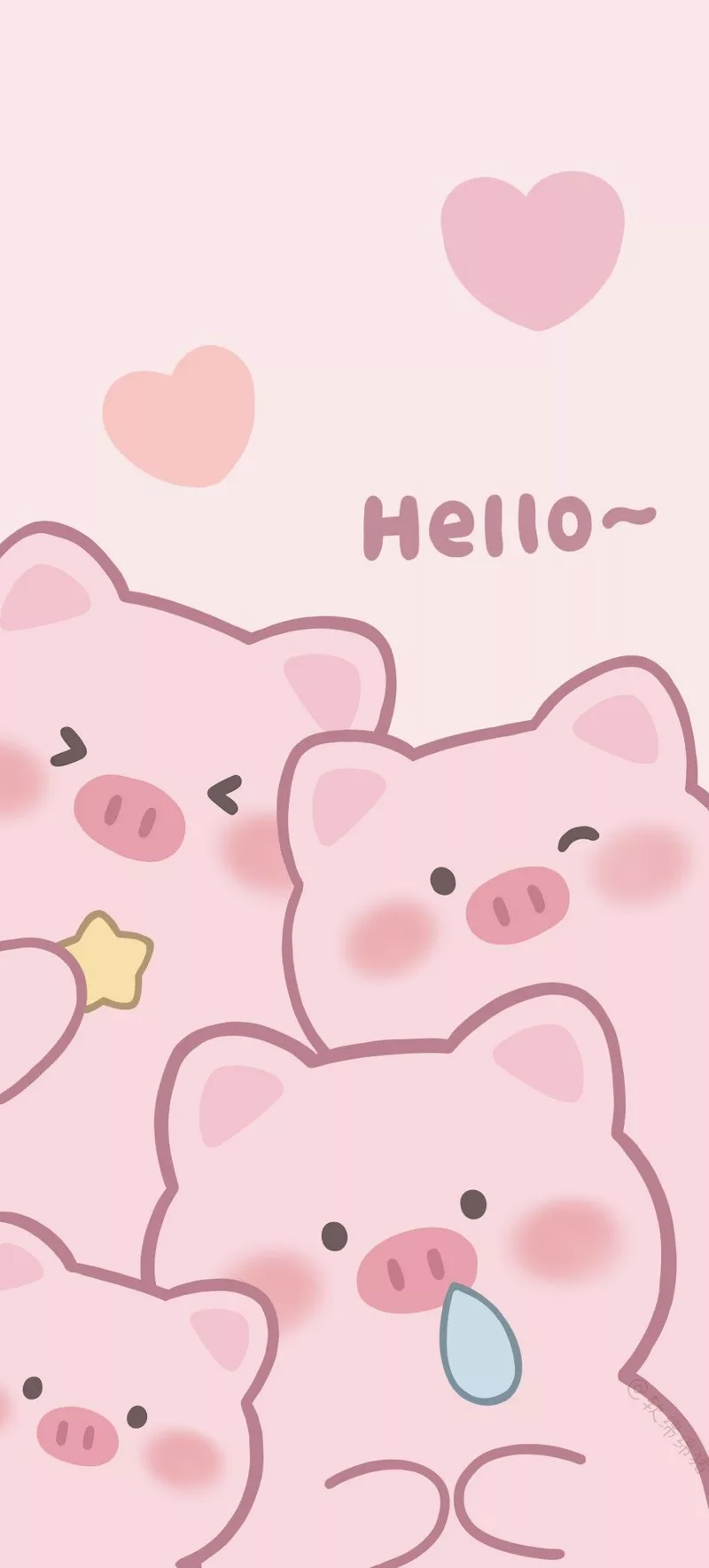 hình ảnh con heo cute 8