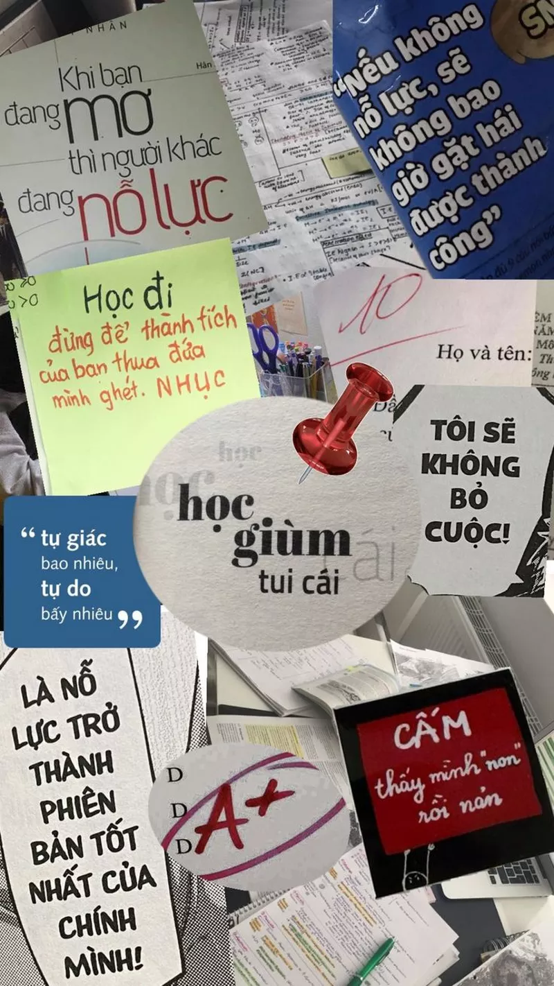 hình ảnh động lực học tập 24