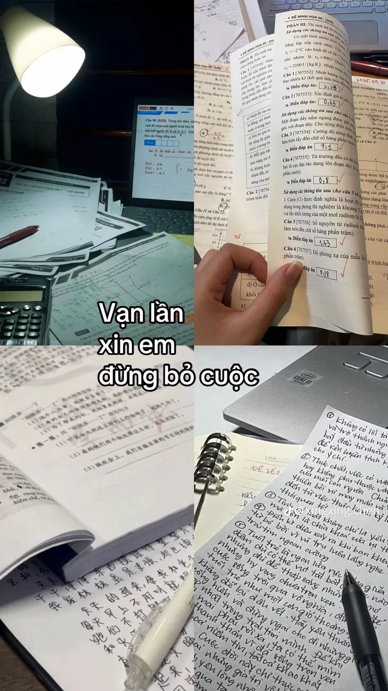 hình ảnh động lực học tập 30