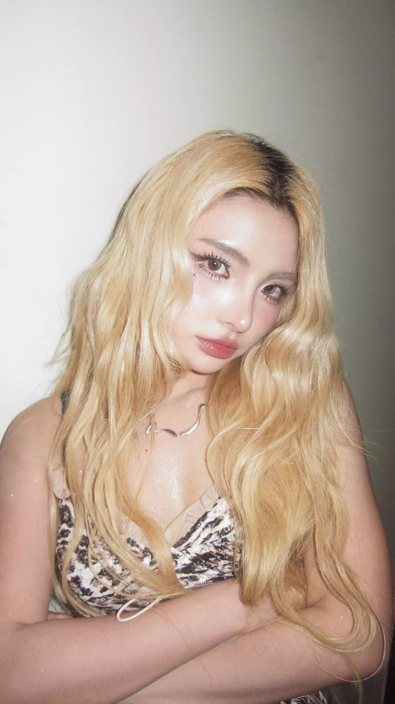 hình nền Maiquinn 1