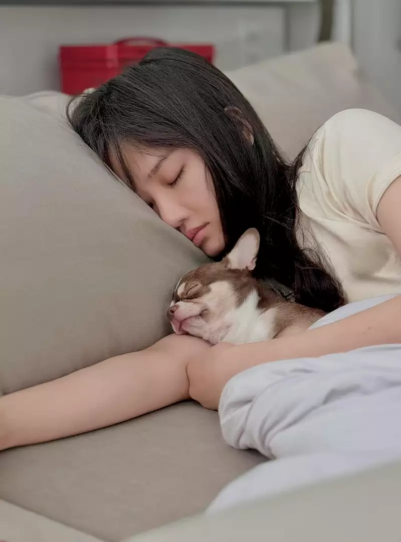 hình nền Miu Lê 21