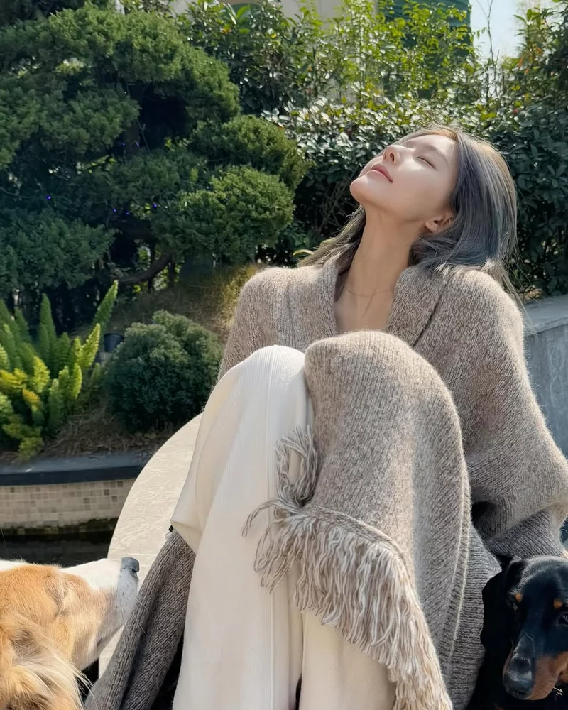 hình ảnh triệu lộ tư 12