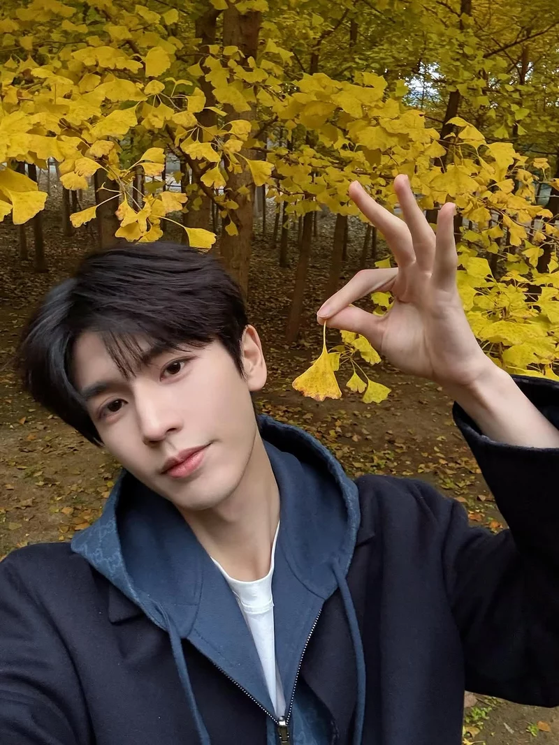 hình ảnh trương lăng hách 28