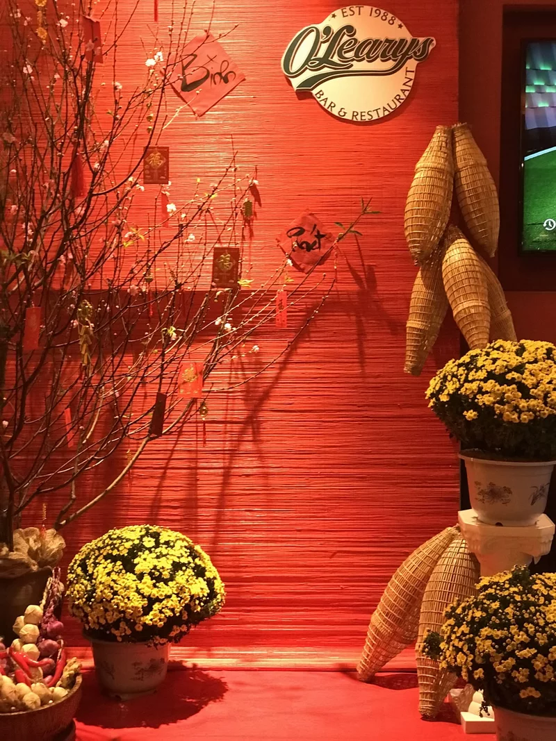 background ngày tết 4