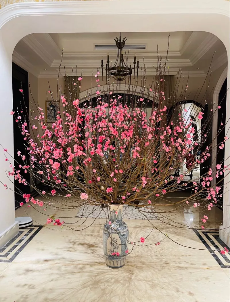 ảnh hoa đào ngày tết 16