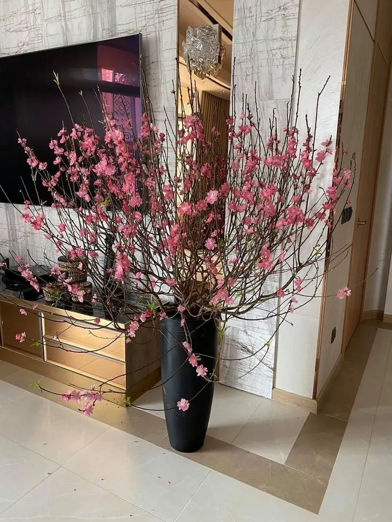 ảnh hoa đào ngày tết 2