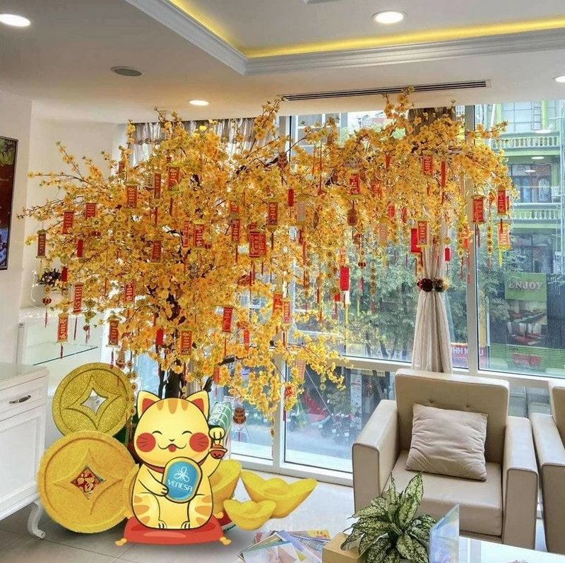 ảnh hoa mai ngày tết 28