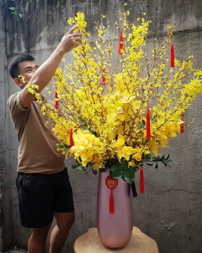 ảnh hoa mai ngày tết 41