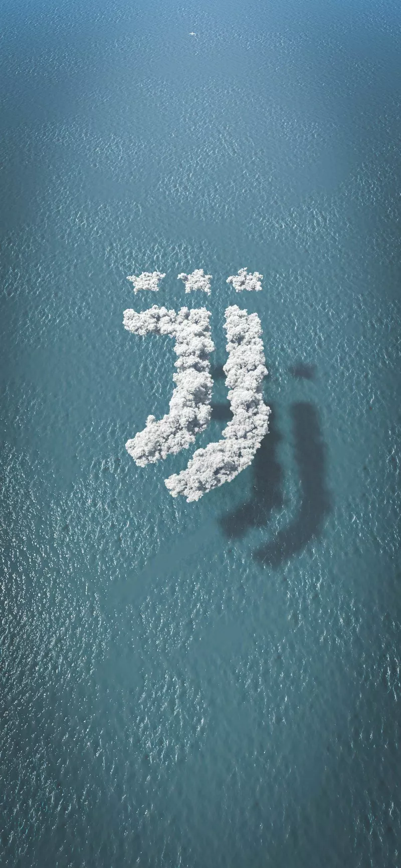 hình nền Juventus 16