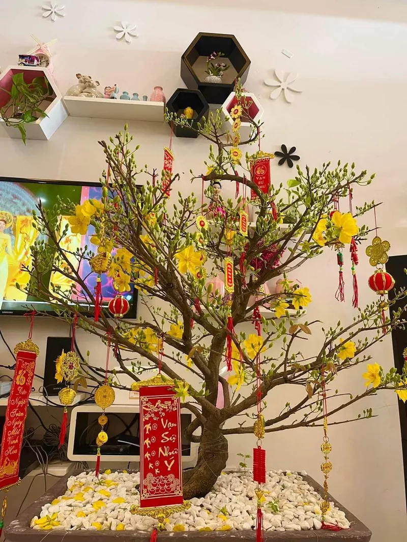 ý tưởng trang trí tết 11