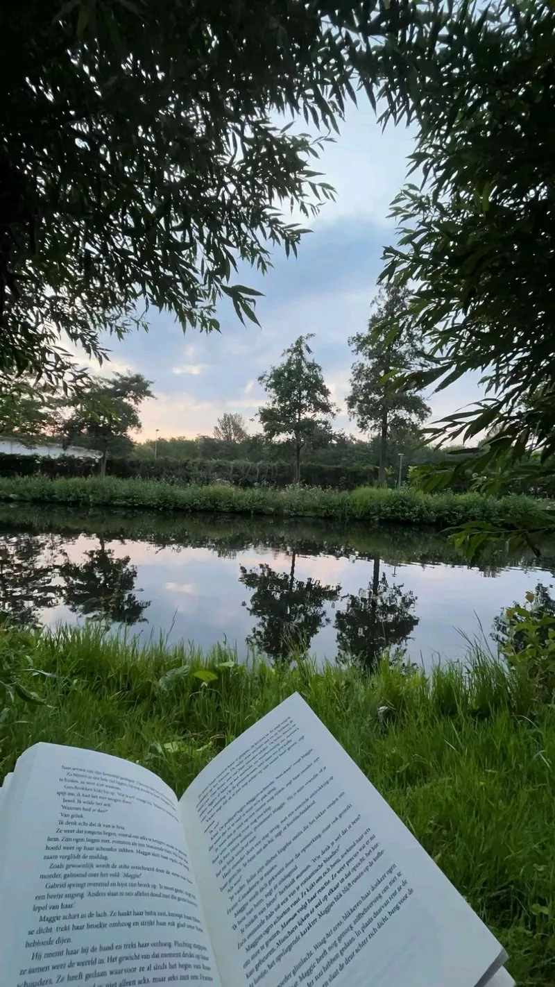 Ảnh phong cảnh chill cho tâm trạng nhẹ nhàng