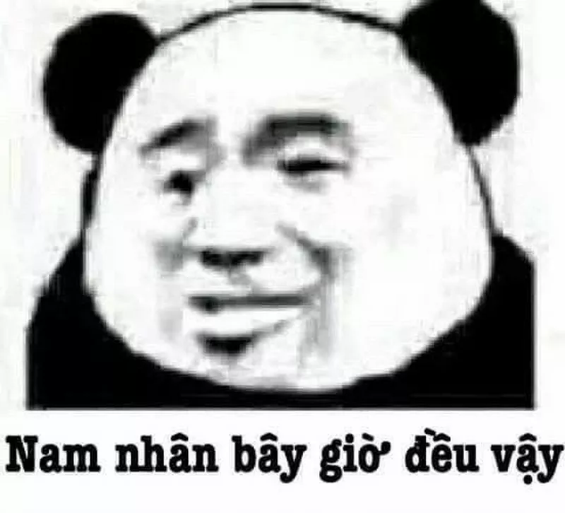 Ảnh Gấu Trúc Meme Biểu Cảm Bá Đạo