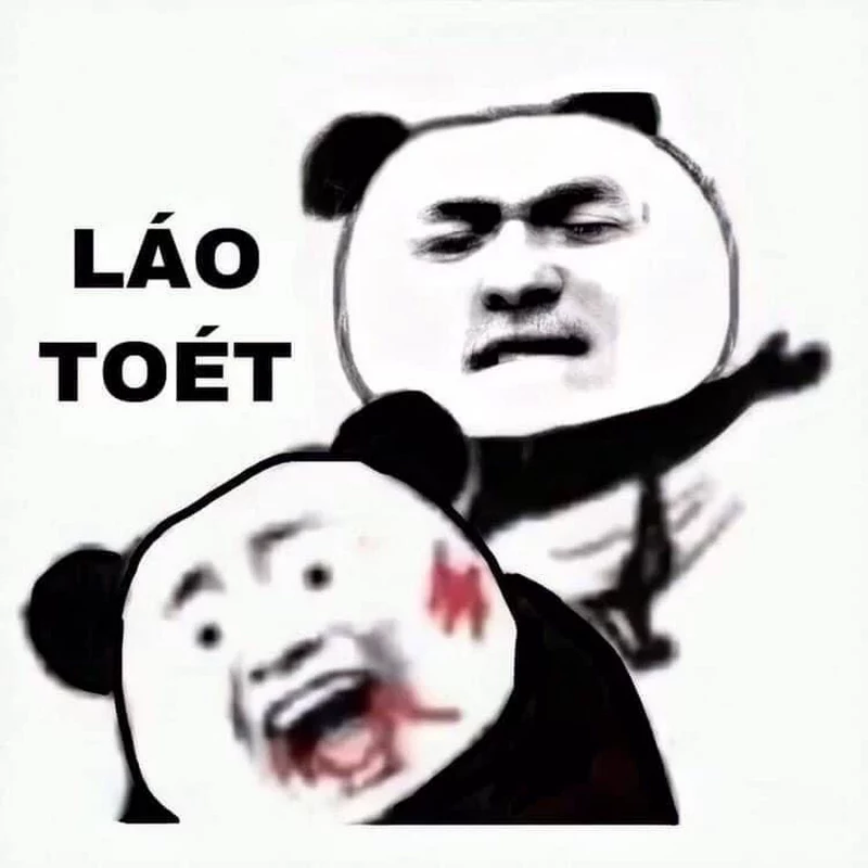 Ảnh Meme Gấu Trúc Cực Kỳ Bá Đạo