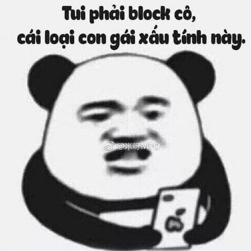 Ảnh Meme Gấu Trúc Cute Nhưng Lầy