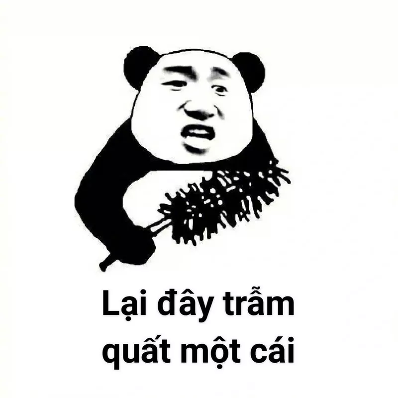 Ảnh Meme Gấu Trúc Siêu Hài Hước