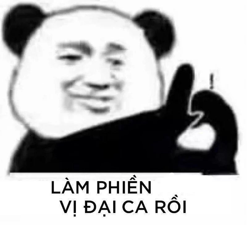 Gấu Trúc Meme Khiến Bạn Cười Ngất