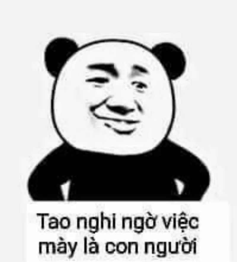 Meme Gấu Trúc Biểu Cảm Cười Đểu