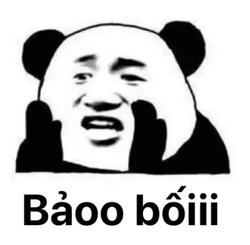 Meme Gấu Trúc Buồn Cười Nhất Hôm Nay