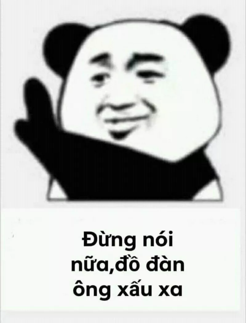 Meme Gấu Trúc Cười Không Ngậm Được Miệng