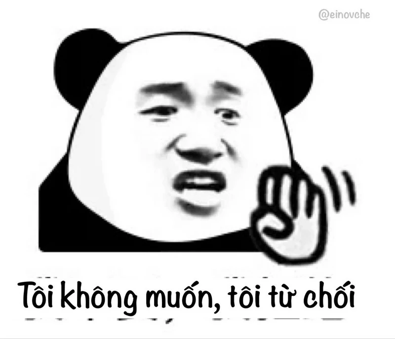 Meme Gấu Trúc Đáng Yêu Nhưng Lầy Lội